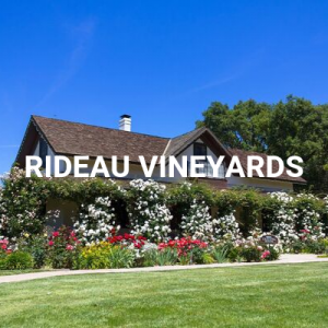 ANDREW-MURRAY-WINERY-2-5d8aa12f92314-300x300