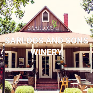 ANDREW-MURRAY-WINERY-3-5d8aa12d166be-300x300