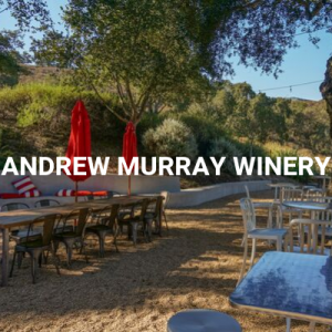 ANDREW-MURRAY-WINERY-5d8aa12653476-300x300