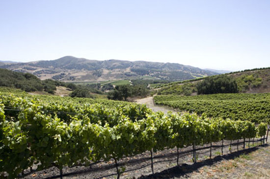 Foley-Vineyards-5d28970ee7bf5