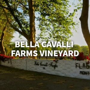 banner-2019-07-17T122928-997-5d2f6a565dbe5-300x300