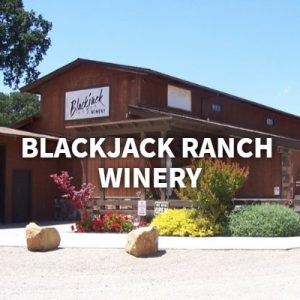 banner-2019-07-17T123014-964-5d2f6a50bfdfb-300x300