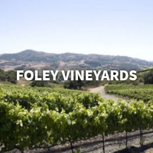 banner-2019-07-17T123120-837-5d2f6a49c4caf-300x300