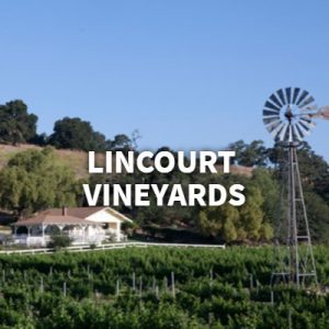 banner-2019-07-17T123203-358-5d2f6a463ffb1-300x300