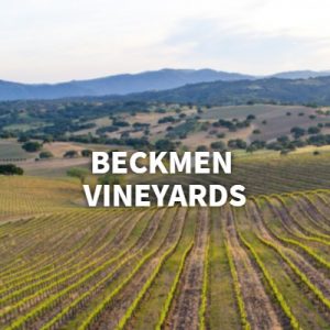 banner-2019-07-17T123254-875-5d2f6a42a0c79-300x300