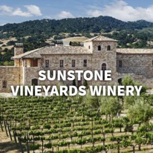 banner-2019-07-17T123331-296-5d2f6a409a04a-300x300