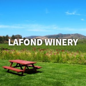 banner-2019-08-19T130639-622-5d5af4bd8b959-300x300